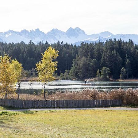 Mynest Appartements Seefeld in Tirol Dış mekan fotoğraf
